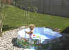 Enjoying the backyard pool